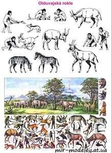 №1479 - Olduvajska rokle [ABC 1984-09] из бумаги