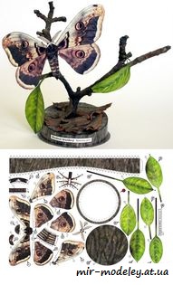 №1694 - Martináč hrušňový [ABC 2006/12] из бумаги