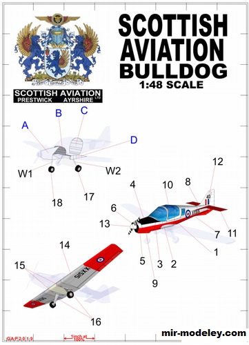 №17064 - Scottish Aviation Bulldog (Gary Pilsworth) из бумаги
