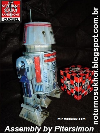 №17391 - R5 d2 (Noturno Sukhoi) из бумаги