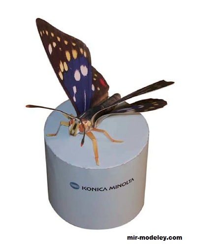 №17358 - Бабочка Sasakia charonda (Konica Minolta) из бумаги