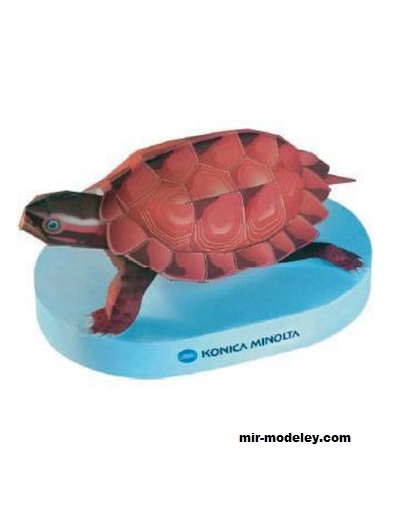 №17355 - Горная японская черепаха (Konica Minolta) из бумаги