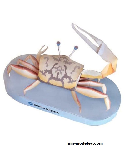 №17357 - Манящий краб (Konica Minolta) из бумаги