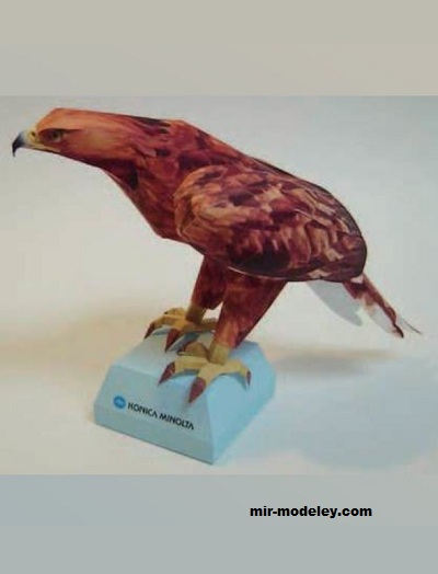 №17356 - Беркут (Konica Minolta) из бумаги