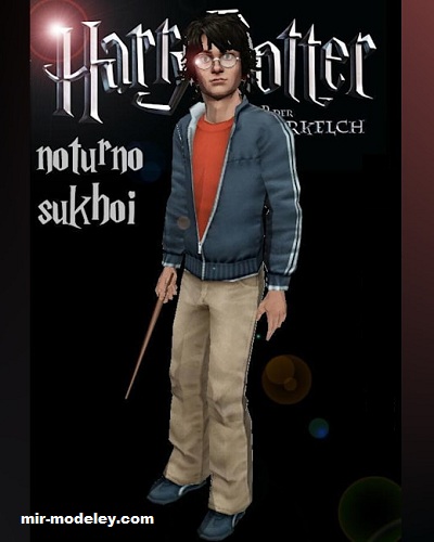 №17453 - Гарри Поттер / Harry Potter (Noturno Sukhoi) из бумаги