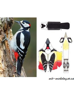 №1707 - STRAKAPOUD VELKY [ABC 4-96] из бумаги