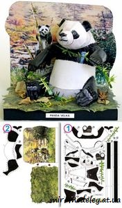 №1703 - Panda velká [ABC 2/2007] из бумаги