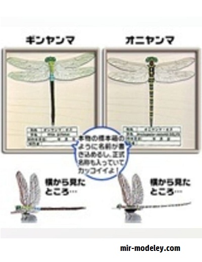 №17646 - Tonbo / Стрекозы Anotogaster sieboldii и Anax parthenope (Paper Museum Jp) из бумаги