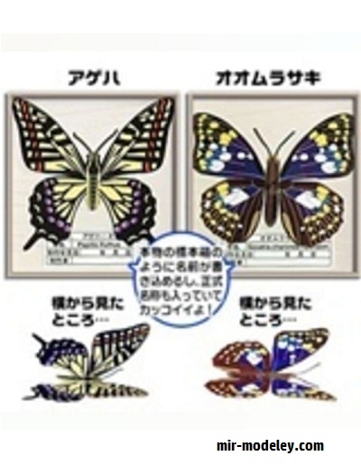 №17645 - Бабочки Sasakia charonda и Парусник (Paper Museum Jp) из бумаги