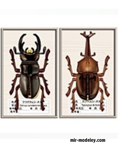 №17644 - Beetles / Жук-олень и жук Allomyrina Dichotoma (Paper Museum Jp) из бумаги