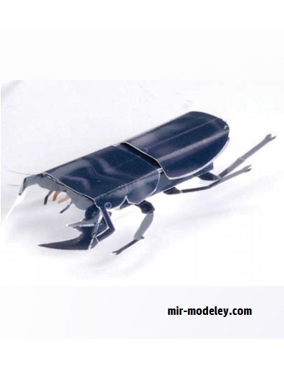 №17639 - Dorcus / Жук Оленек (Paper Museum Jp) из бумаги