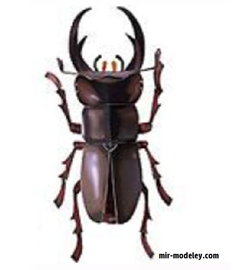 №17643 - Stag beetle / Жук-олень (Paper Museum Jp) из бумаги
