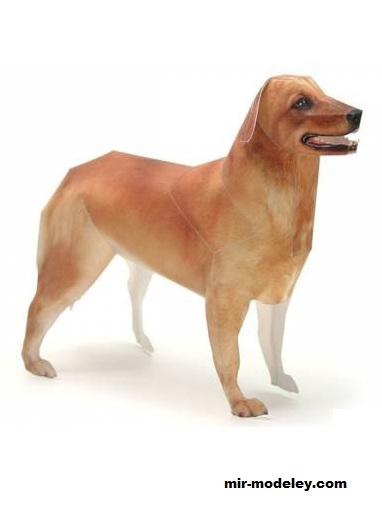 №17770 - Золотистый ретривер / Golden Retriever из бумаги
