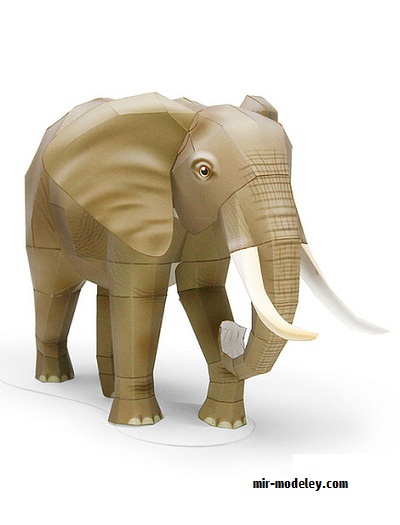№17854 - Elefant 2/ Слон 2 (Canon) из бумаги
