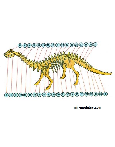 №17831 - Brontosaurus (ABC 12/1980) из бумаги