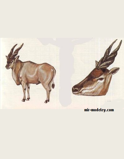№17844 - Antilopa trofej (ABC 23/1979) из бумаги