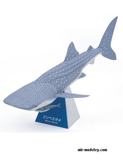№17861 - Китовая акула / Whale Shark из бумаги