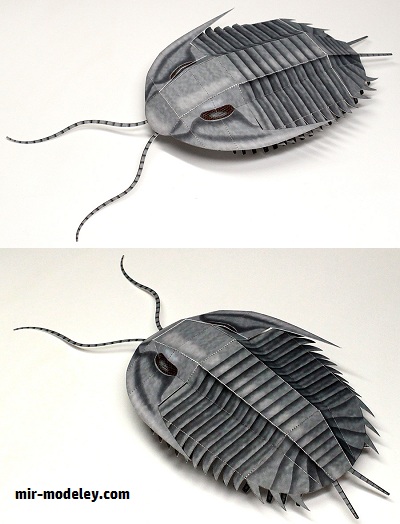 №17977 - Paleozoic Life: Trilobite [Papermodel Japan] из бумаги