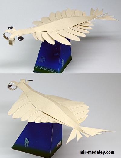 №17978 - Cambrian Creature: Anomalocaris [Papermodel Japan] из бумаги