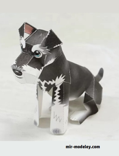№18594 - Miniature - Schnauzer 2 [Pinoart Papercraft] из бумаги