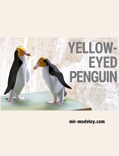 №18702 - Yellow-eyed Penguin (YAMAHA MOTOR) из бумаги