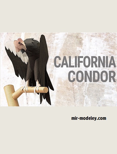 №18705 - California Condor (YAMAHA MOTOR) из бумаги