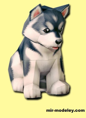 №18804 - Alaskan Malamute Puppy (AnimaLindos) из бумаги