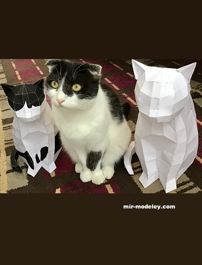 №19338 - Cat (masaki) из бумаги