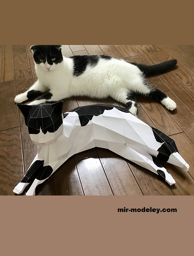 №19335 - Cat lying down (masaki) из бумаги