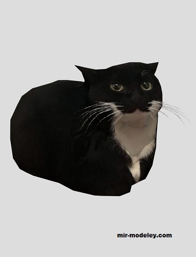 №19288 - Кот / Maxwell the carryable cat (MooNFishr) из бумаги