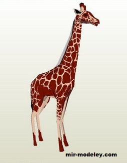 №19370 - Girafe (dhal021) из бумаги