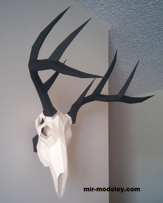 №19360 - Deer Skull ( Gedelgo) из бумаги