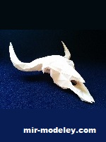 №19408 - Череп бизона / Bison Skull (Gedelgo) из бумаги
