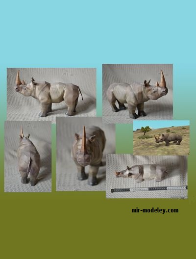 №20201 - Белый носорог / White Rhinoceros (Zoo Tycoon 2) из бумаги