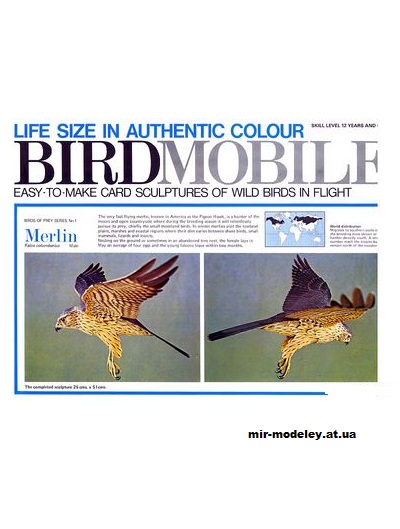 №2309 - Дербник / Merlin [Birdmobile 01] из бумаги