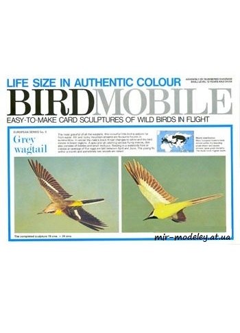 №626 - Горная трясогузка / Grey wagtail [Birdmobile 04] из бумаги — скачать развертку из бумаги