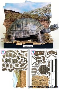 №7951 - Слоновая черепаха / Želva sloní [ABC 6/2007] из бумаги