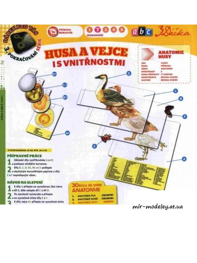 №8086 - Anatomie husy(ABC 4-2011) из бумаги