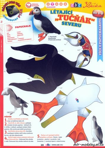 №8084 - Тупик (Атлантический тупик) / Papuchalk ploskozobý (Fratercula arctica) (ABC 3/2011) из бумаги