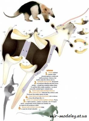№636 - Муравьед / Mravenciar [ABC 16/2015] из бумаги