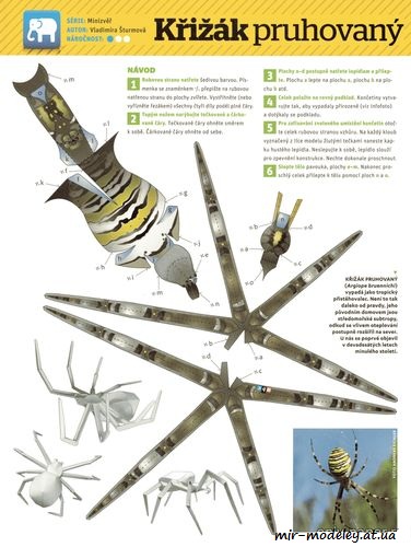 №1492 - Аргиопа Брюнниха / Križiak pruhovaný (ABC 4/2016) из бумаги