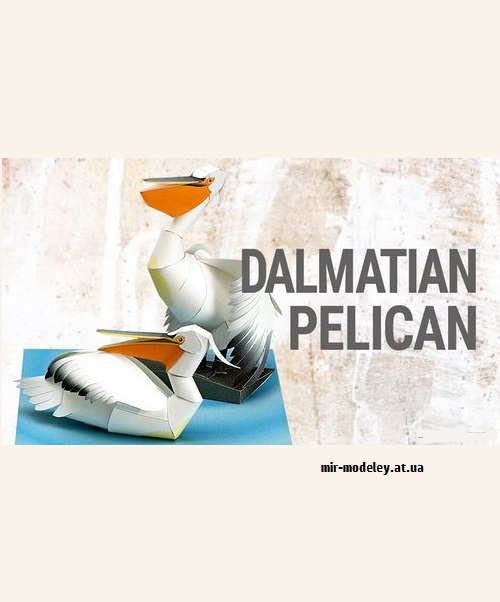№9192 - Dalmatian Pelican (YAMAHA MOTOR) из бумаги