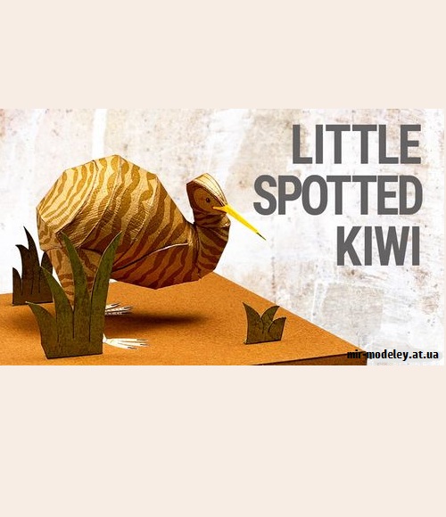 №9204 - Little Spotted Kiwi (YAMAHA MOTOR) из бумаги