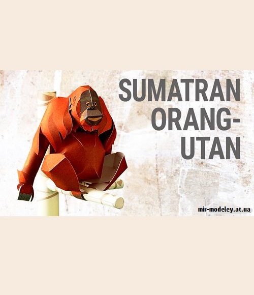 №9214 - Sumatran Orang-utan (YAMAHA MOTOR) из бумаги