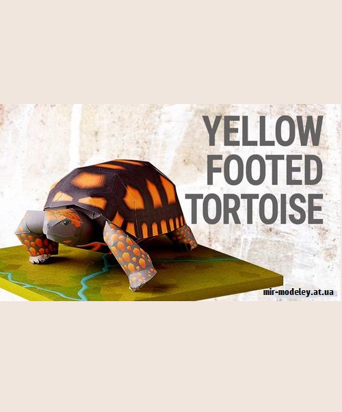 №9215 - Yellow Footed Tortoise (YAMAHA MOTOR) из бумаги