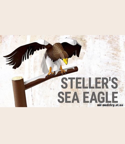 №9213 - Steller's Sea Eagle (YAMAHA MOTOR) из бумаги