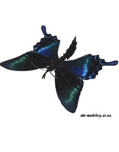 №9639 - Miyama-Karasu-Ageha (Papilio maackii) (Canon) из бумаги