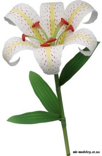 №9769 - Flower Arrangement Lily - Цветок Лилия (Canon) из бумаги
