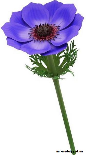 №9765 - Flower Arrangement Anemone (Purple + Multicolor) - Цветок (Canon) из бумаги