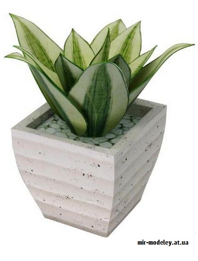№9782 - Ornamental Plant Sansevieria 'Golden Hahnii' - Цветы в горшке (Canon) из бумаги